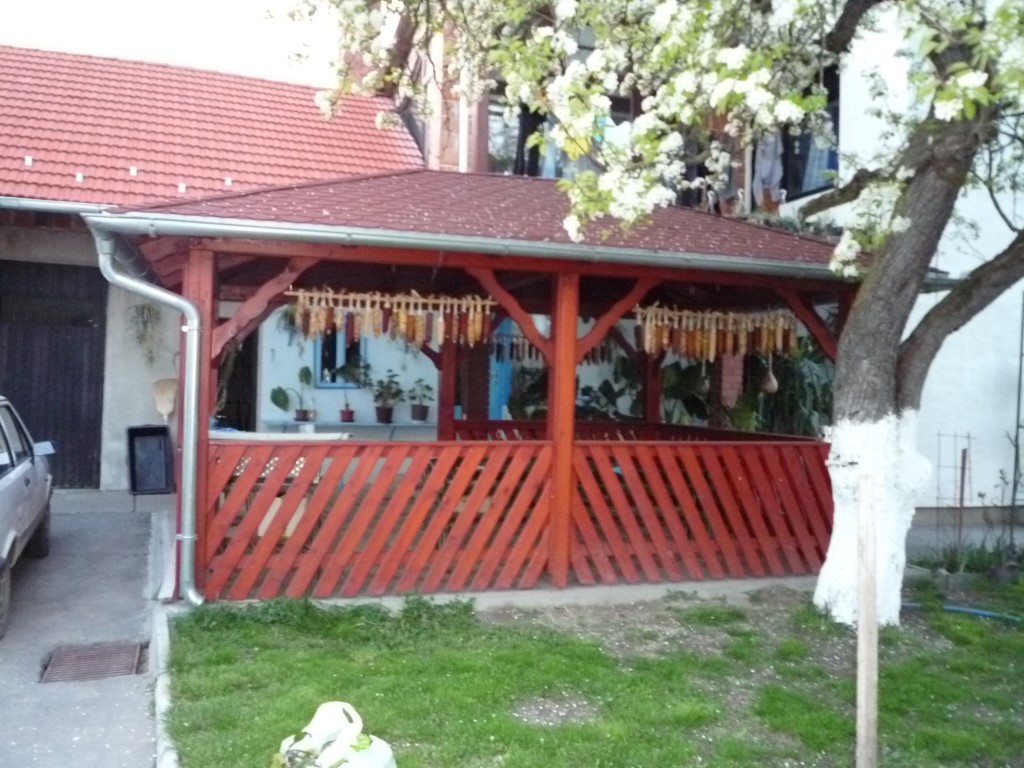 mon (5) (Medium).JPG